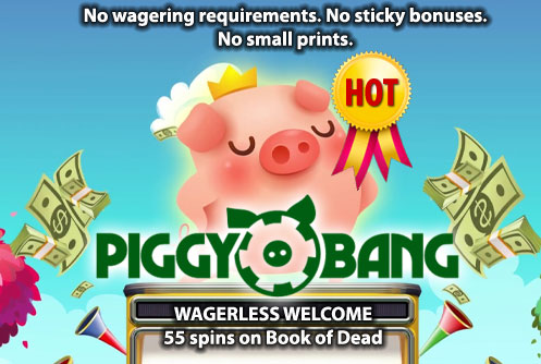 Piggy Bang Casino